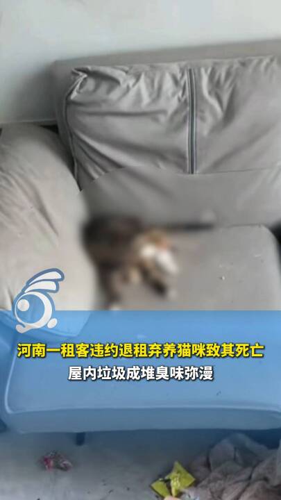 P(gun)עһ`sǰⷿɶѳζһֻ؈䱻zɳl(f)